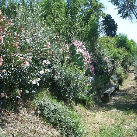 Gli Oleandri Guest House Castelfiorentino Luaran gambar